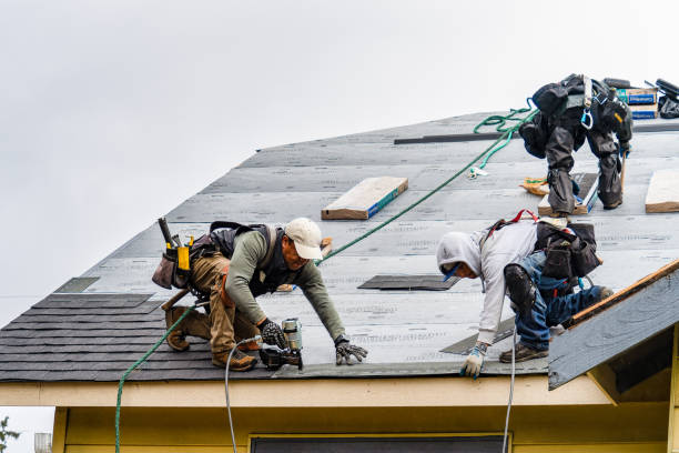 Professional Roofing technician working in Mead, WA